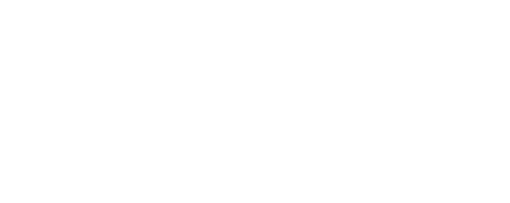 GSFlash Logo
